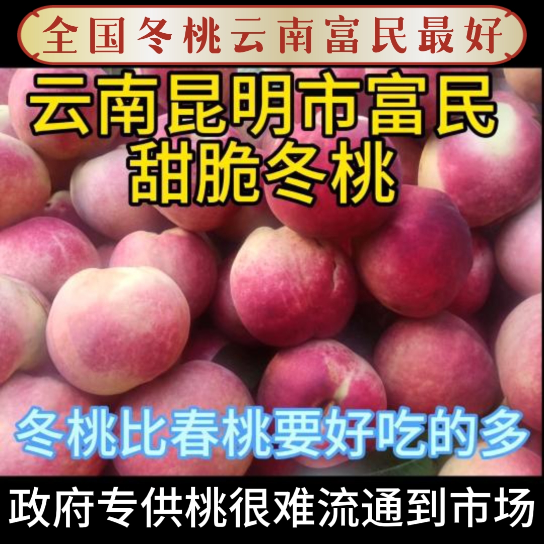 昆明富民大果装应季水果冬桃农家自种现摘现发硬桃原生态桃