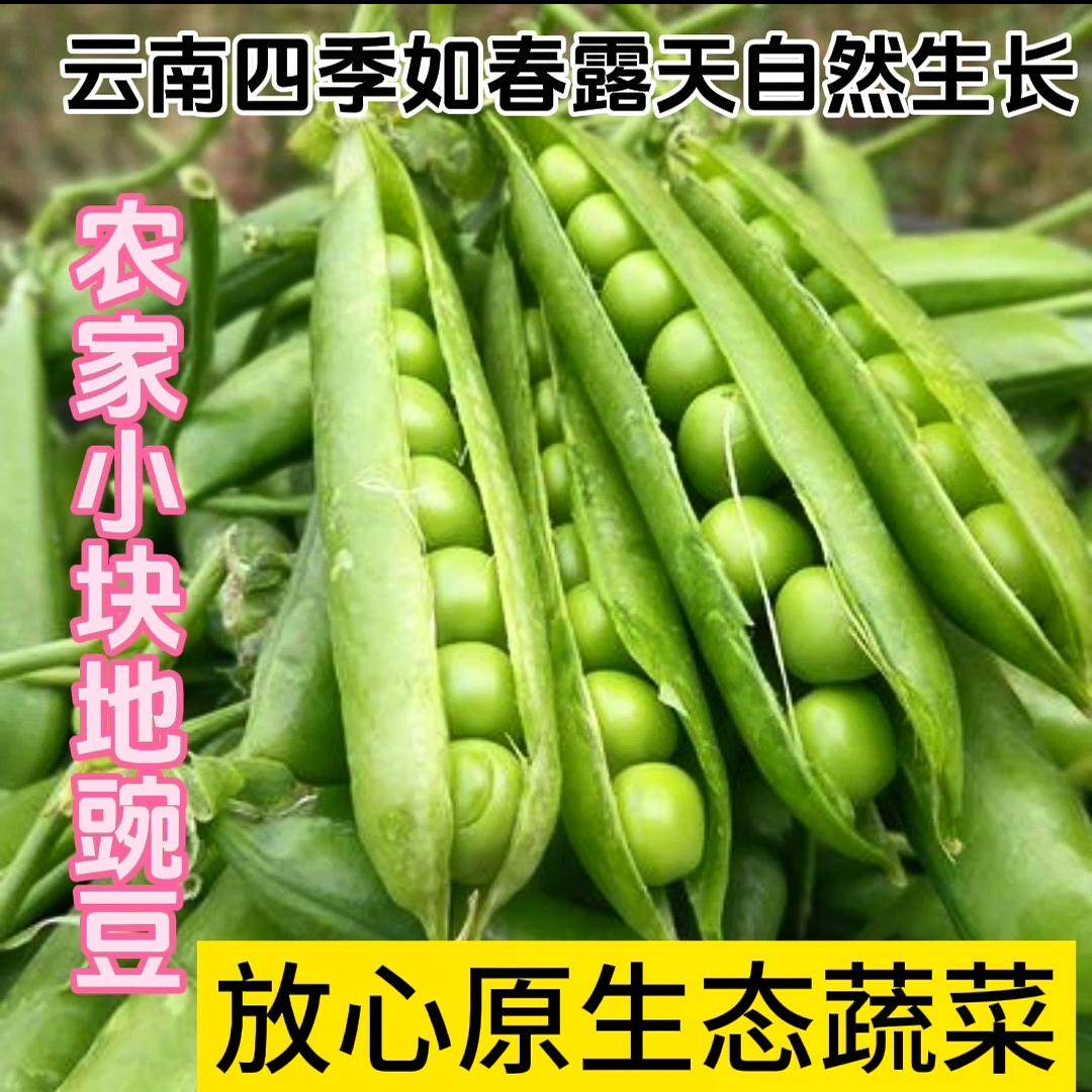云南新鲜甜豌豆带壳豌豆荚水果豌豆青豌豆农家种植现摘现发无公害,水产肉类/新鲜蔬果/熟食,新鲜豆类,淘宝优惠券,粉丝福利购,淘宝优惠卷