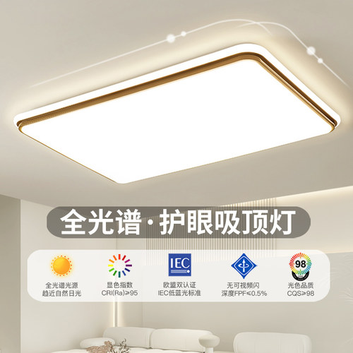 LED吸顶灯圆形客厅现代简