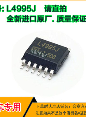 L4995J 贴片12脚位 全新原装 主营汽车芯片 直拍。