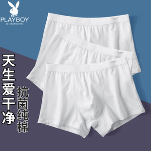 四角褲 花花公子純白色內(nèi)褲 男平角夏季 100%純棉襠男生抗菌淺色薄款
