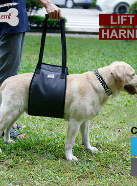 doglemi多乐米狗后腿走路辅助背带 宠物老年犬后肢康复助行带