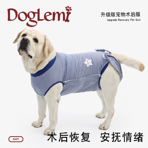 DogLemi宠物猫狗夏季升级术后服