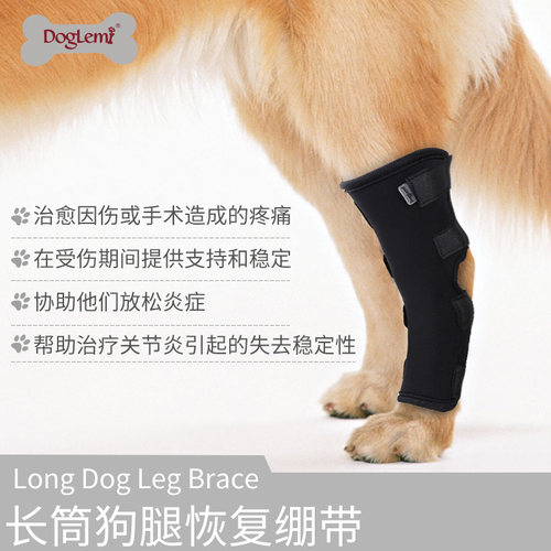 doglemi狗狗护腿套恢复绑带