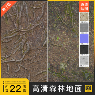 森林树林地面泥土树根落叶纹理肌理PBR法线通道4k高清贴图c4d素材
