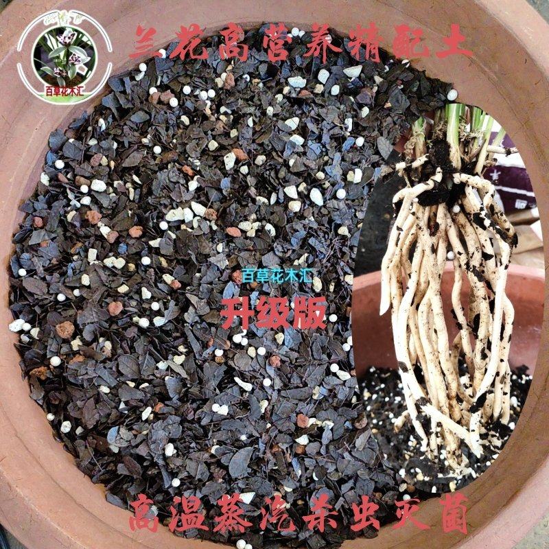 云南传统兰花植料莲瓣兰专用营养土堆积发酵腐熟高温杀菌科学配制 - 实物图