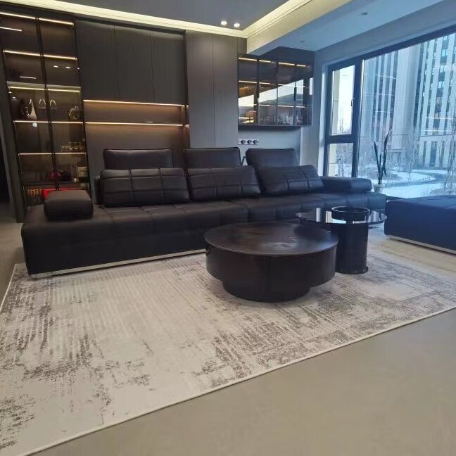 地毯客厅现代意式极简风防滑可擦水洗卧室家用茶几垫沙发地毯垫子