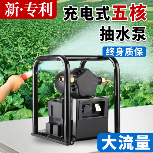 蓝艺充电式抽水泵灌溉浇水