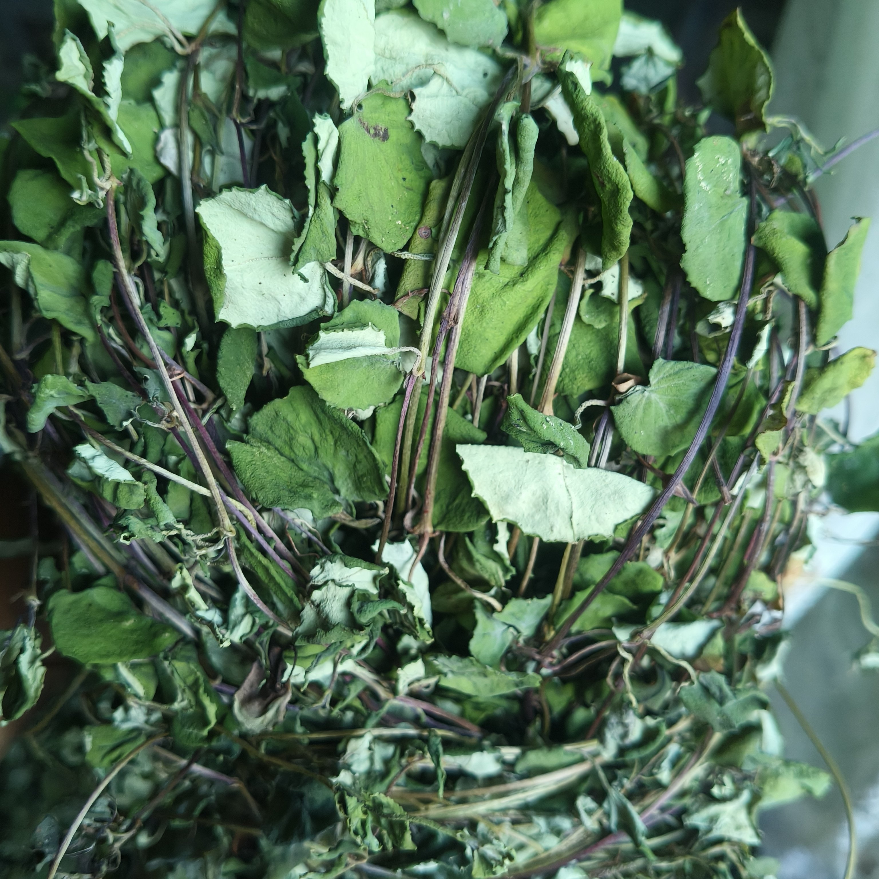 深山原生金钱草晒干原料原生态晾晒无杂质无硫过路黄干货草本清香