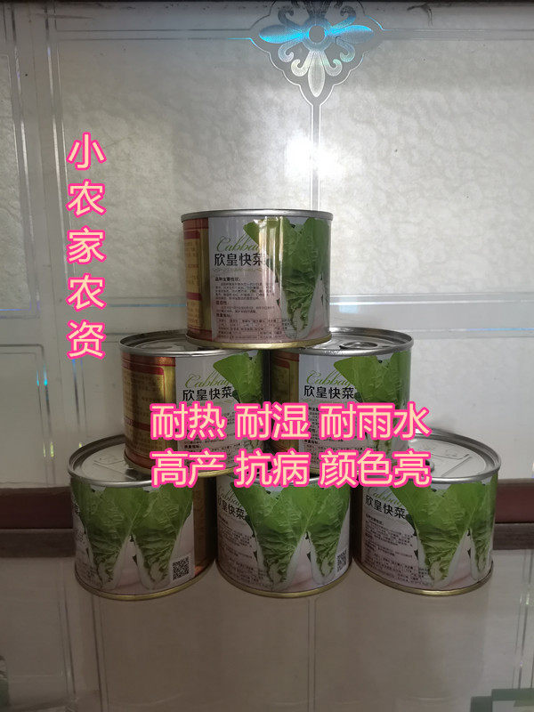 北京硕源种子有限公司欣皇快菜蔬菜种子株型漂亮小白菜耐热耐雨水