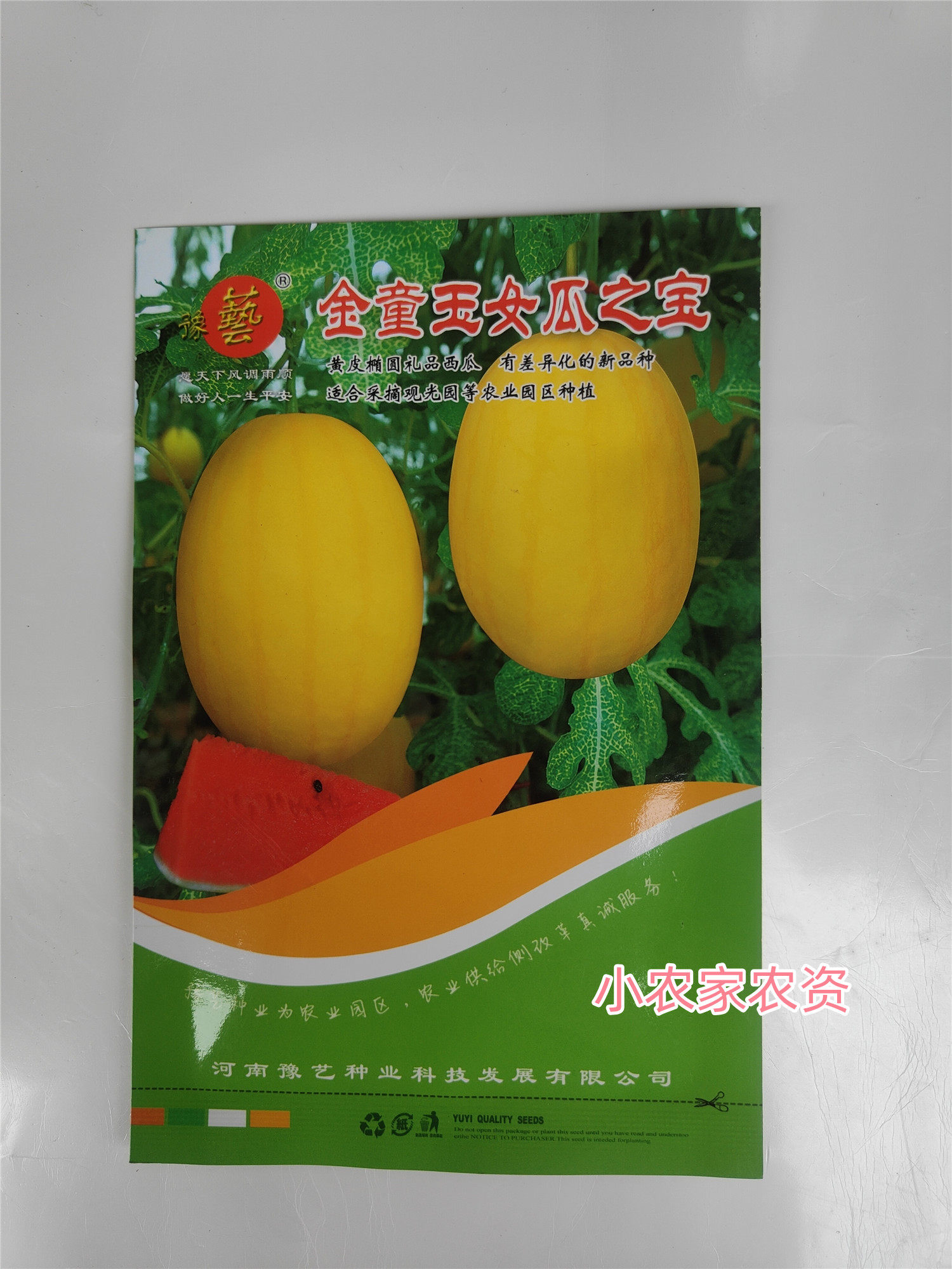 豫艺金童玉女西瓜种子 黄皮红瓤椭圆礼品西瓜 100粒/袋礼品瓜包邮