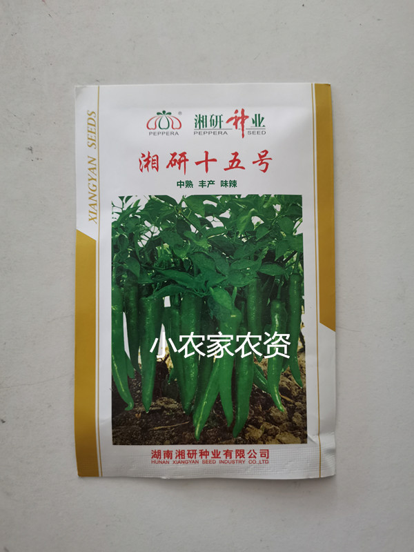 隆平高科湘研种业湘研十五号辣椒种子丰产抗性好适应能力强耐贮运