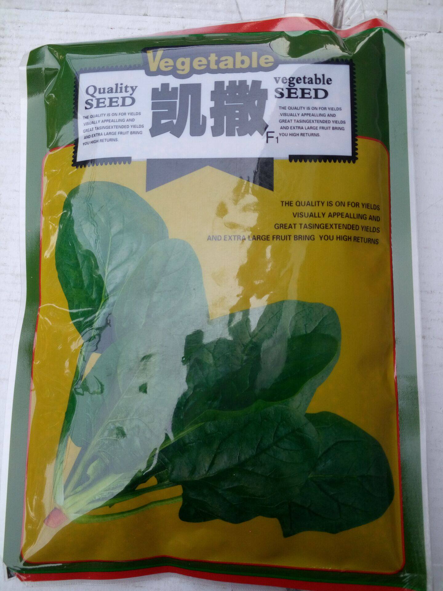 凯撒菠菜 300g菠菜种子 抗霜霉病 耐寒 叶片绿高产 大田专用种