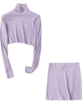 刺绣套装春季新款外贸女装时尚高领长袖磨毛短上衣+半身短裙16222