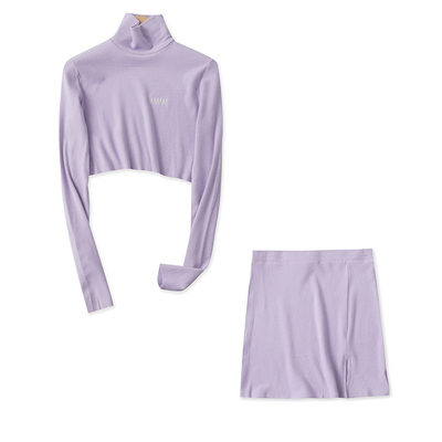 长袖磨毛刺绣上衣+半身短裙套装