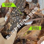 梅花鹿鹿胎鹿胎粉整个吉林鹿胎盘鹿膏滋补女性子宫月经