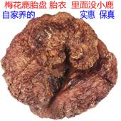 吉林梅花鹿鹿胎衣整个鹿胎打粉干鹿胎盘代灌胶囊女性调理月经备孕