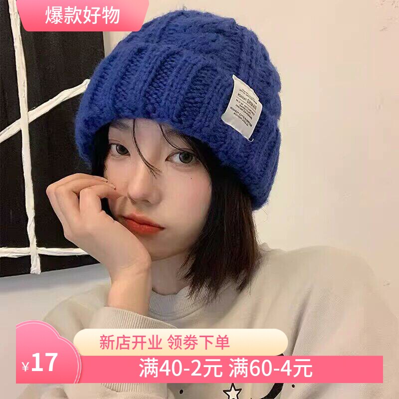 秋冬时尚针织帽女款韩版时尚麻花毛线帽保暖护耳多色可选休闲