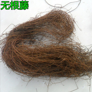 无根藤 无头藤 无娘藤 金丝藤 罗网藤 无根草 500g包邮