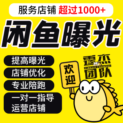 闲鱼运营指导一对一实操闲鱼提高曝光咸鱼运营课程闲鱼赚钱指导课