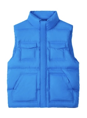 （鸟)秋冬男士时尚保暖羽绒背心立领蓝色白鸭绒马甲潮C4311/Y12