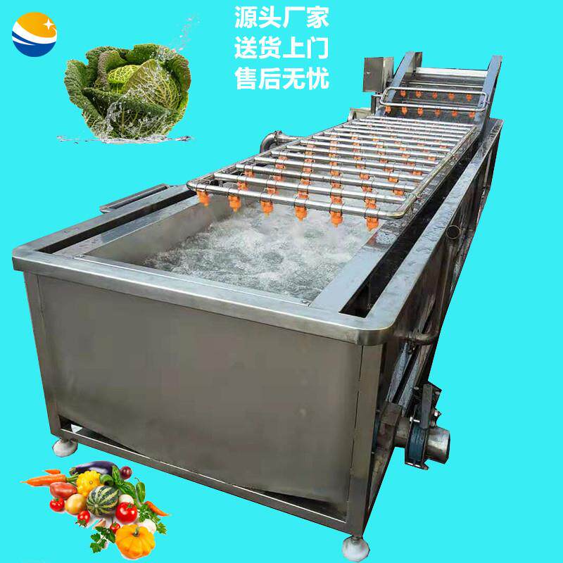 供应 全自动山野菜清洗机 辣椒清洗设备 气泡喷淋式叶菜清洗机器