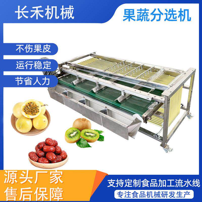 果冻橙分级机 砂糖橘青核桃火龙果毛桃分拣机 轨道式选果机