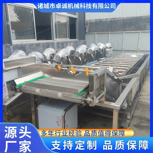 葡萄水果蔬菜清洗设备连续式果蔬气泡清洗机  鼓泡全自动洗菜机器