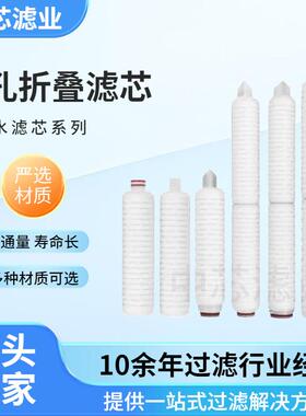 中芯滤业20英寸/30英寸/40英寸微孔折叠滤芯亲水性聚四氟乙烯滤芯