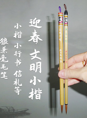 戴月轩小楷毛笔信札宣示表