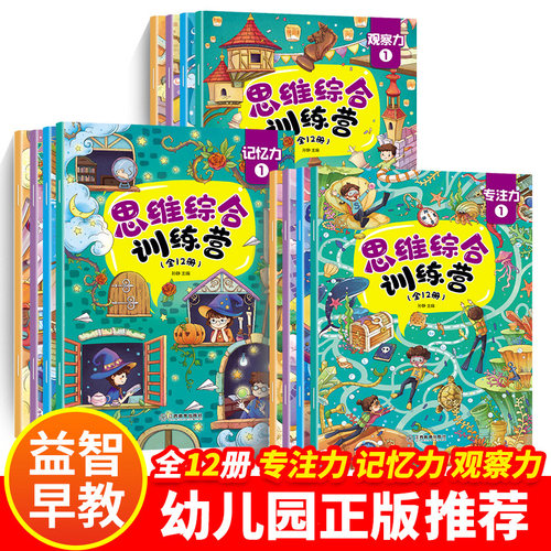 12册找不同迷宫书专注力训练书3-4-5-6岁儿童益智注意力观察记忆力智力开发大脑思维书籍走全脑学前 培养孩子宝宝大冒险连线书幼儿 - 封面