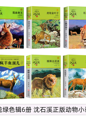 沈石溪动物小说浅绿色特辑 全6册雄狮去流浪疯血羊顶儿红飘带狮王虎娃金叶子混血豺王等  6-10-12岁三四五六年级小学生课外阅读书