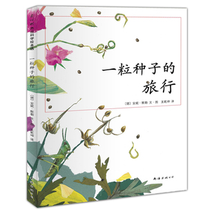 一粒种子 幼儿园绘本读物 旅行绘本图书正版 6岁儿童书籍 荣获德国儿童图书Luchs大奖 爱心树童书