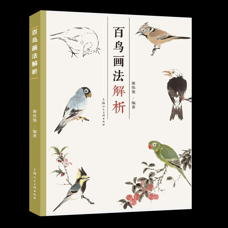 百鸟画法解析 谢伟强中国写意花鸟国画绘画技法教学工笔写意禽鸟画法