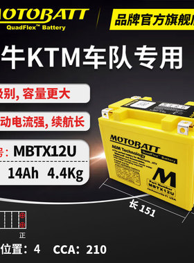 VESPA维斯帕GTS300 GTV300 GTS250 LXV150摩托车干电瓶12V锂电池