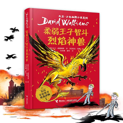 大卫·少年幽默小说系列