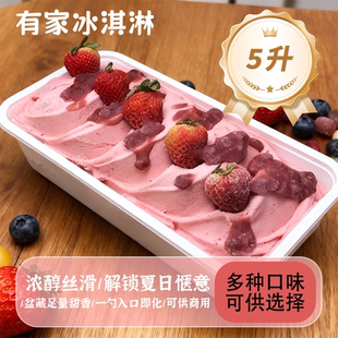 源头厂家现货盆装 冰激凌可多口味10桶起订 冰淇淋混批发5L意式
