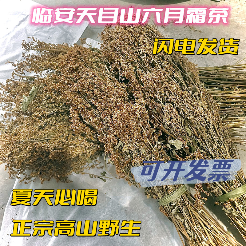 六月霜茶临安高山野茶花防解渴夏天喝凉茶刘寄奴奇蒿带花籽整把发