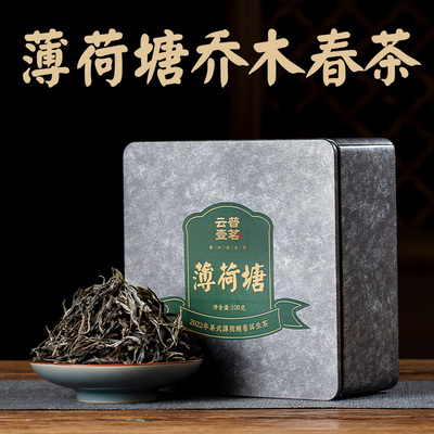 普洱茶年头春薄荷塘100g