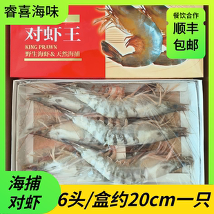 威海海鲜特产渤海湾海捕对虾6头礼盒装新鲜冷冻年货送礼搭配礼箱