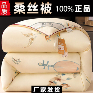 太空被褥双人棉絮特价 正品 加厚桑丝被子冬被保暖丝棉被芯春秋冬款