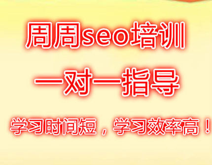 周周seo网站优化学习，远程教学