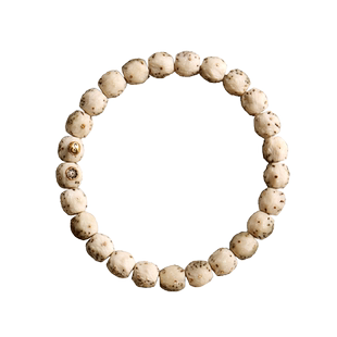 易行堂无相星月菩提手串迅猛龙细腻纹理文玩单圈佛珠念珠手链男女