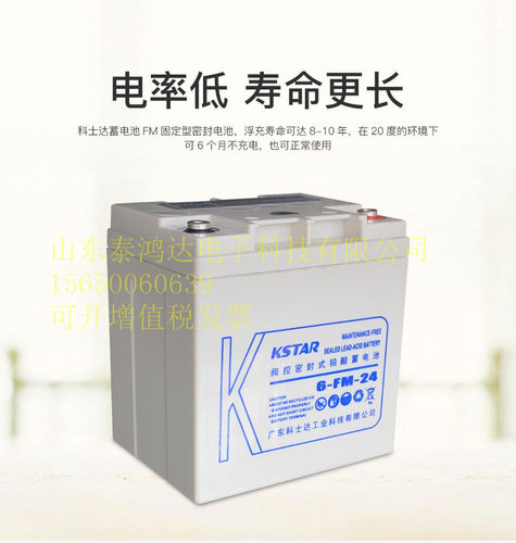 科士达蓄电池6FM-2412V24AH机房光伏12V1712V3812V65V12V4012V65