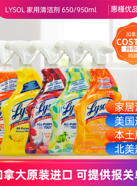 加拿大LYSOL乐守家用多用途清洁剂浴室清洁650/950ml