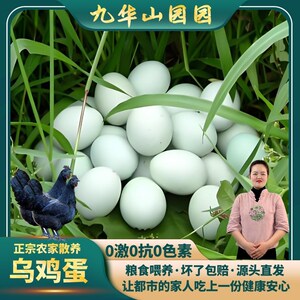 〖乌鸡绿壳蛋〗安徽九华山高山树林农家散养生态新鲜乌鸡蛋土鸡蛋