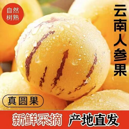 新鲜黄肉人参果云南石林黄心黄肉圆果新鲜多汁清甜人参果新鲜水果
