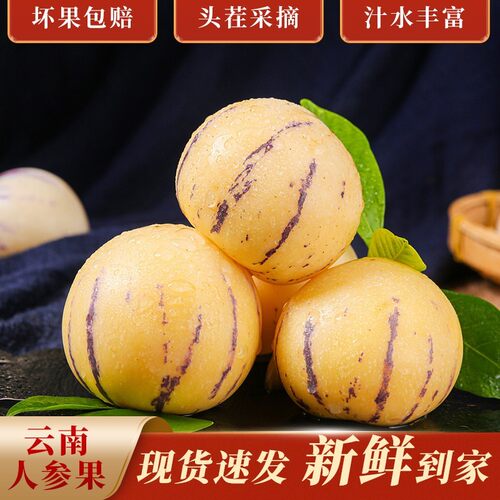 一苹坊云南石林人参果即食黄肉圆果树上熟头茬水润香甜爆汁
