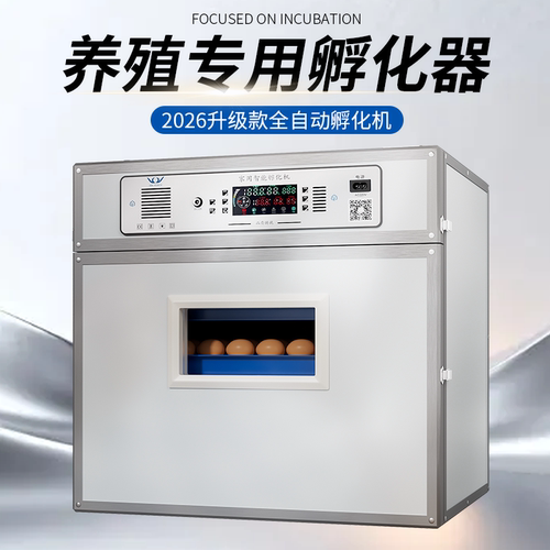 全自动家用智能大型孵化器