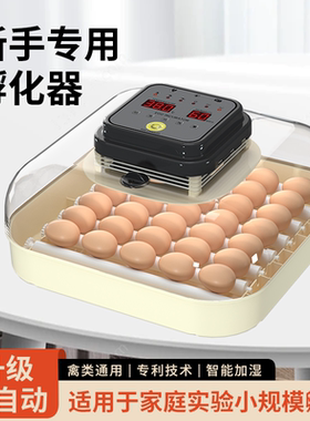 孵化器小型家用孵蛋器智能孵化机
